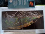 Bild8579