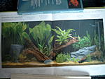 Bild8566