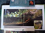 Bild8574