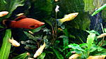 IMG 20180101 142425