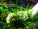 DSCF6112