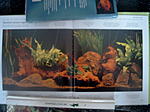 Bild8578
