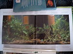 Bild8575