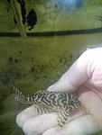 IMG 20171212 172051