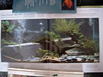 Bild8573