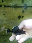 IMG 20171212 180917