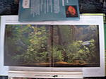 Bild8576