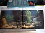 Bild8567
