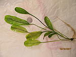 IMG 8765