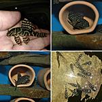 IMG 20180116 090317