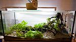water change