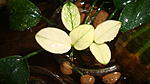 DSC05022