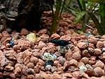 IMG 20180127 173113