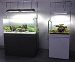 62535897c8ec9bd5dc06f1298a5c9800  nature aquarium aquascaping