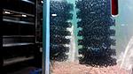 IMG 20180115 173534