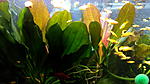 IMG 20180120 090626