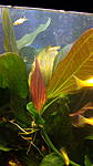 IMG 20180114 175836[2]