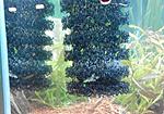 IMG 20180116 142212