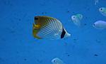 IMG 9819