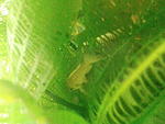 IMG 20180224 081913