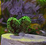 DSCN8343