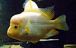 IMG 4582