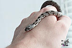   () (Panterophis bairdi), 