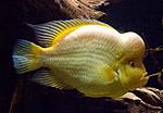 IMG 4591