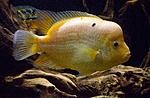 IMG 4588