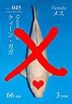 8F8F7EB5 311E 4020 8CC9 3F32E413B398