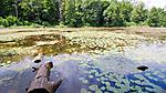 lake Houralnya, Vinnytsia