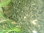 IMG 20171204 184655