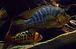 IMG 4626