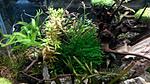 IMG 20180127 173436