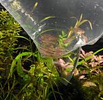 IMG 20180210 145957