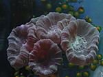 DSCN8031 (2)