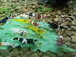 IMG 20170923 200306