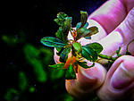 DSCF6485