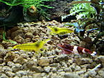 IMG 20171115 195310