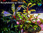 DSCF6488