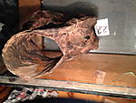 IMG 0932