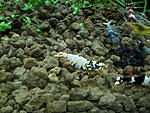 IMG 20171216 153550