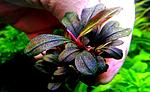 P 20180227 161808 1[2]