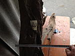 IMG 0862