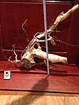 IMG3