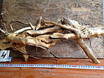 IMG4