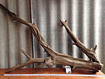 IMG 0851