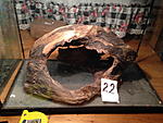 IMG 0929