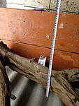 IMG 0855