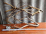 IMG 0827